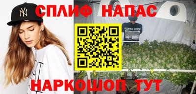гидропоника Краснознаменск