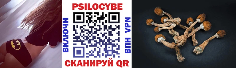 Псилоцибиновые грибы Magic Shrooms  ссылка на мегу маркетплейс  darknet наркотические препараты  Сальск 