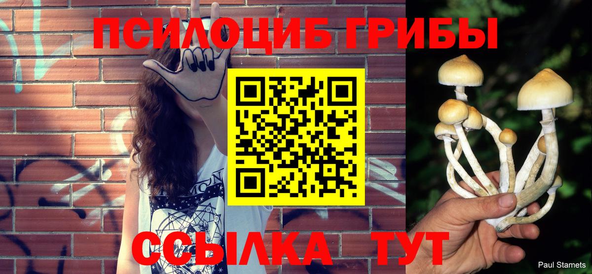 Сальск  Галлюциногенные грибы Psilocybine cubensis  Галлюциногенные грибы MAGIC MUSHROOMS  Вход с VPN 