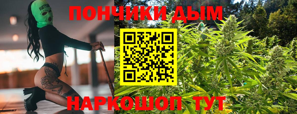 Шишки марихуана планчик  Бошки марихуана индика  Марихуана Ganja  Сальск  Конопля сатива  Вход с VPN 